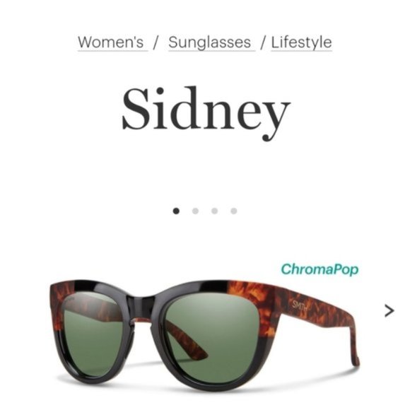 Nwt SMITH optics Sidney styles